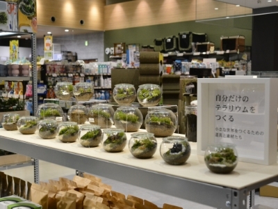 Feel the Garden高知店