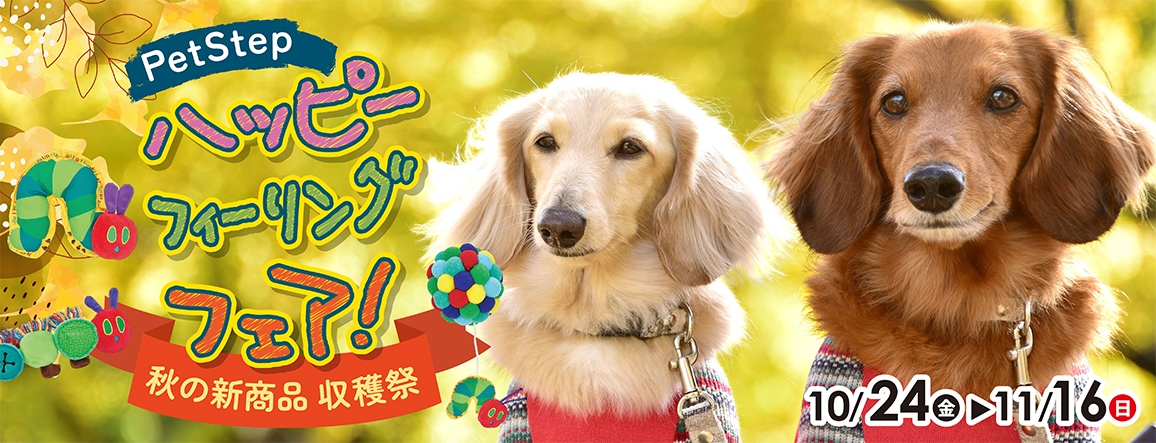 Happy Feeling Fair Happy Feeling Fair