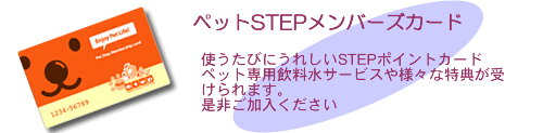 �y�b�g�r�s�d�o�����o�[�Y�J�[�h