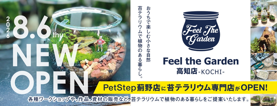 FeeltheGarden高知店へ