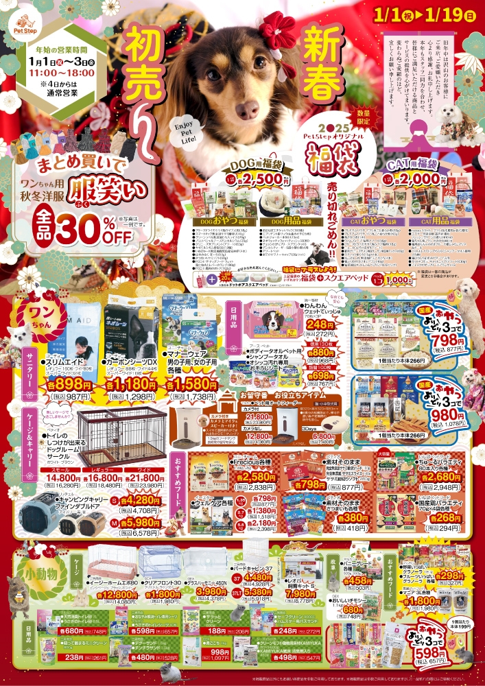 202501 Happy New Year Fair
