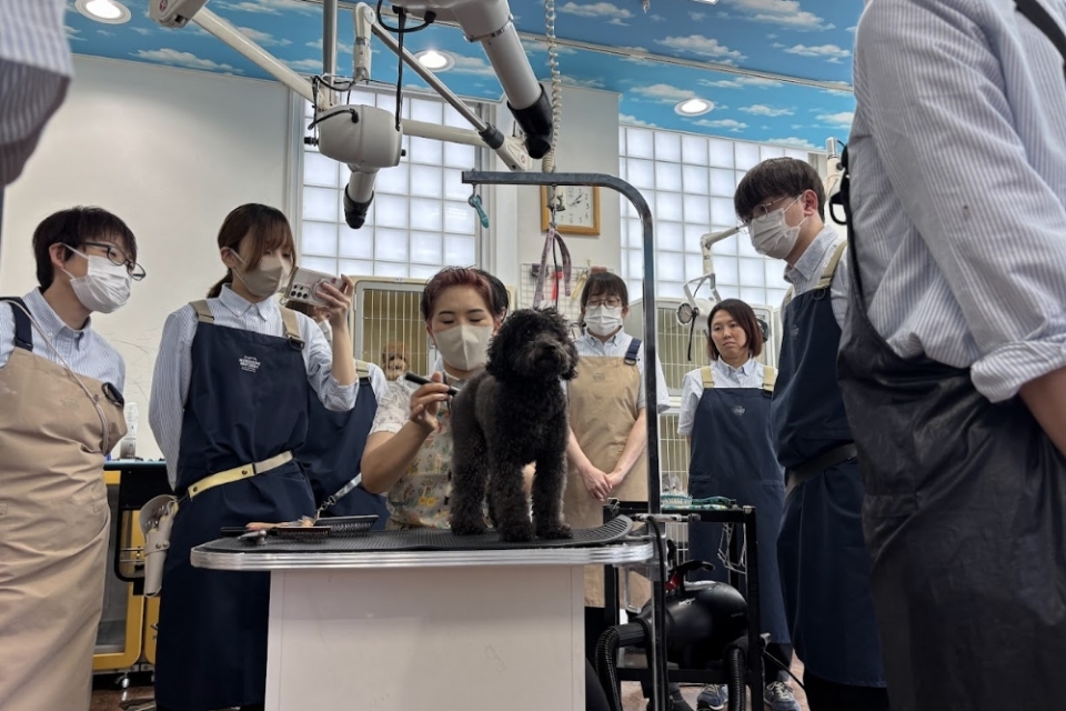 社内研修:石井あゆみ先生のセミナーの様子 社内研修:石井あゆみ先生のセミナーの様子