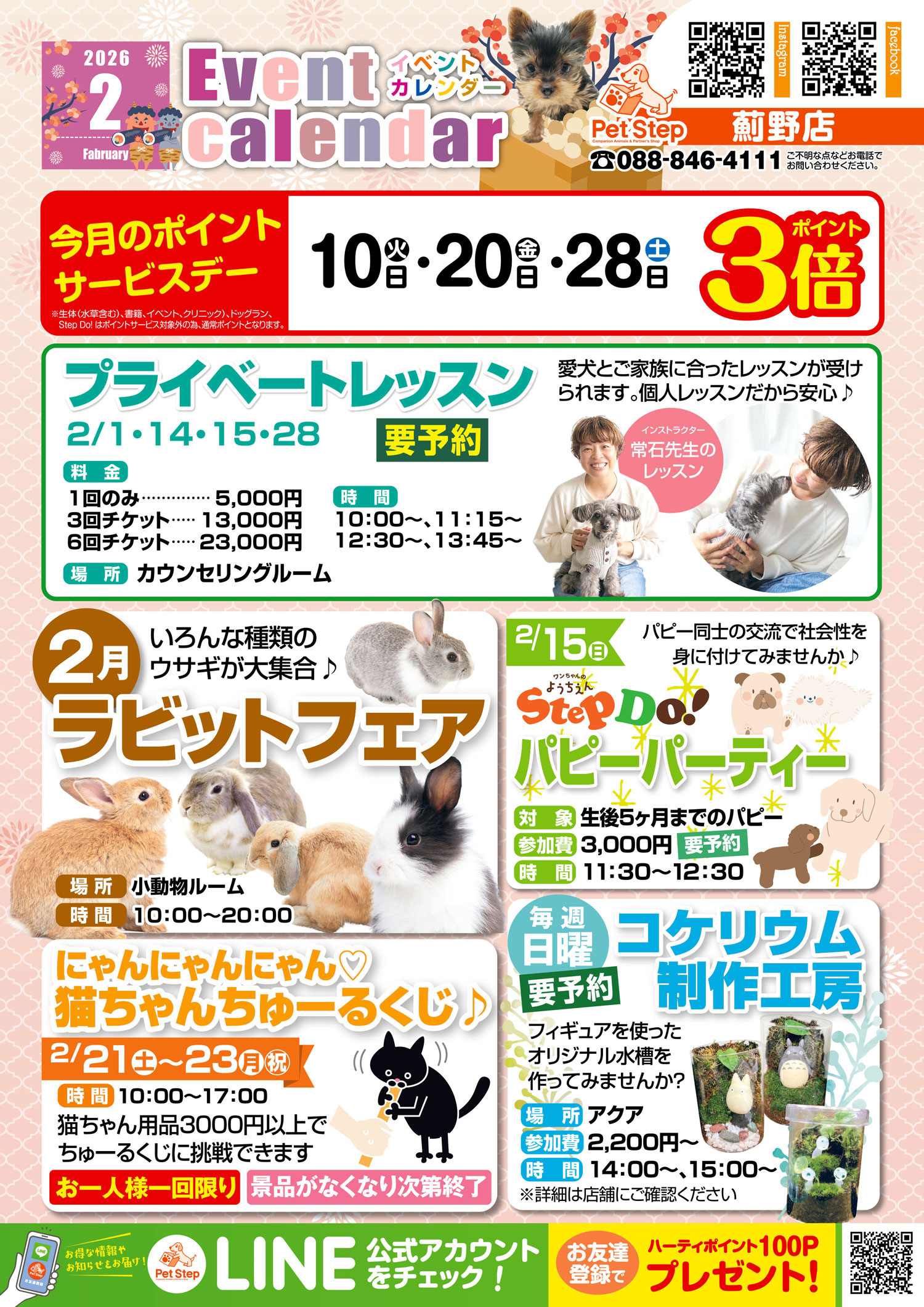 PetStep 薊野店：店舗紹介-ペットStep｜高知・愛媛の総合ペットショップ