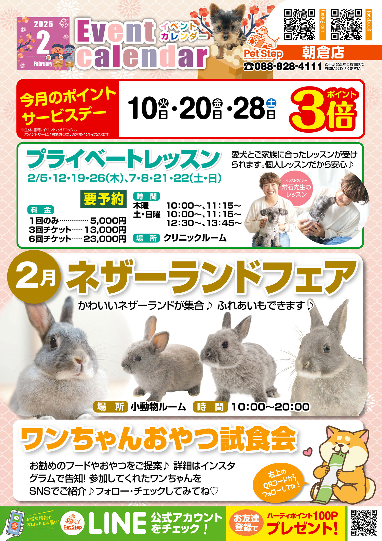 PetStep 朝倉店：店舗紹介-ペットStep｜高知・愛媛の総合ペットショップ