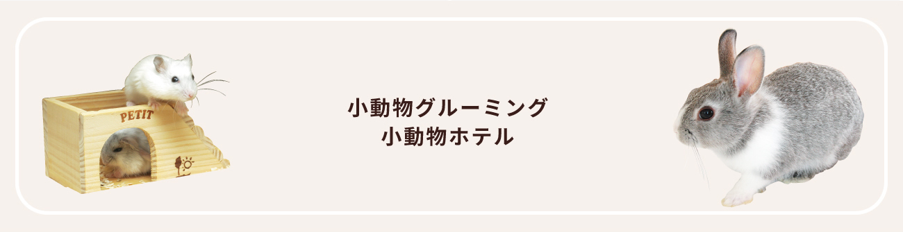 小動物グルーミング・ホテル