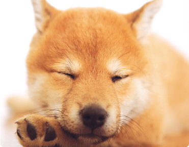 低刺激(保湿)シャンプー